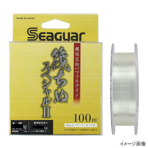 �N���n���@ �V�[�K�[ �����ʃX�y�V����II 100m 2.5�� �N���A
