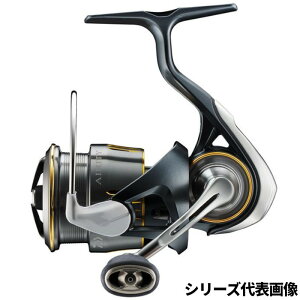 _C XsjO[ GAeB SF2500SS 24Nf XsjO[