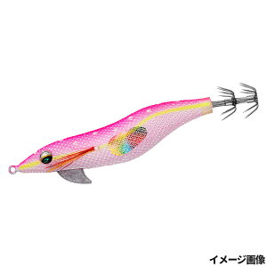 _C GM G_X tH[LC g 2.5 -lIsNiCgy䂤pPbgz