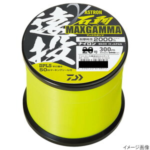 _C AXgΑ≓ }bNXK} 300m 16 tbVCG[