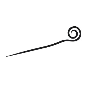 t@P R ^CoXyAJ[[e[ ubNy䂤pPbgz