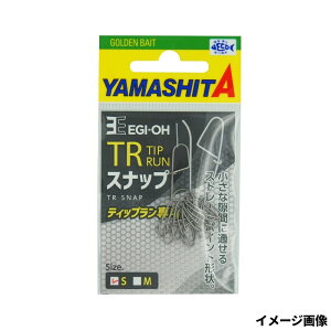 }A GM TRXibv Sy䂤pPbgz