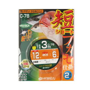 yyVubNtCf[I3_wōő28{Izn~c V[gtJZd| 2{j C|78 3m j12|nX6y䂤pPbgz