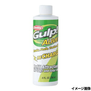 Berkley�i�o�[�N���C�j �K���v!�A���C�u ���`���[�W�W���[�X 8oz GARJ8