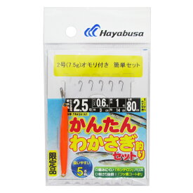 【6/5独占企画！P最大33倍&5%クーポン！】かんたんわかさぎ釣りセット オモリ付き 針2.5号-ハリス0.6号 TNAGAIA1