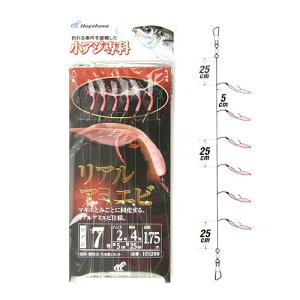 AW AA~Gr HS200 j7|nX2y䂤pPbgz