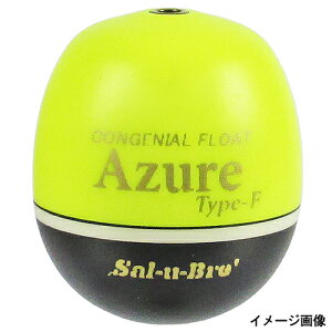 \guCNWp AY[ tJZ^Cv M u^0 CG[y䂤pPbgz