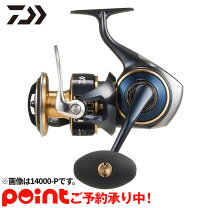 楽天市場】ソルティガ14000の通販
