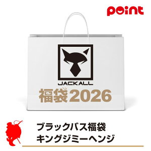 WbJ ubNoX LOW~[wWy2026 ܁zlC[J[܁y12{\z ނ ނ 