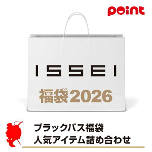 ISSEI ubNoX lCACelߍ킹 y2026 ܁zlC[J[܁y12{\z ނ ނ 