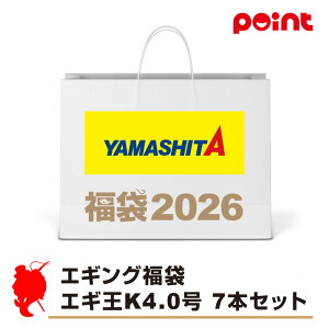 }V^ GMO GMK 4.0 7{Zbgy2026 ܁zlC[J[܁y12{\z ނ ނ 