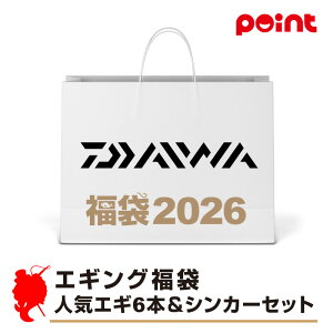 _C GMO lCGM6{VJ[Zbgy2026 ܁zlC[J[܁y12{\z ނ ނ 