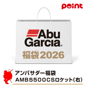 Abu AoT_[ AMB5500CSPbg(E)y2026 ܁zlC[J[܁y12{\z ނ ނ 