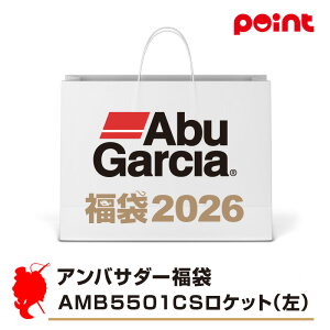 Abu AoT_[ AMB5501CSPbg()y2026 ܁zlC[J[܁y12{\z ނ ނ 