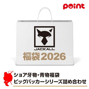 WbJ VA啨E rbOobJ[V[Ylߍ킹y2026 ܁zlC[J[܁y12{\z ނ ނ 