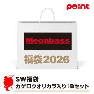 KoX SW JQEIJIBZbgy2026 ܁zlC[J[܁y12{\z ނ ނ 