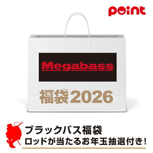 KoX ubNoX bh邨NʒItIy2026 ܁zlC[J[܁y12{\z ނ ނ 