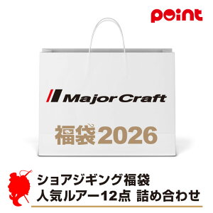 W[Ntg VAWMO lCA[12_ lߍ킹y2026 ܁zlC[J[܁y12{\z ނ ނ 