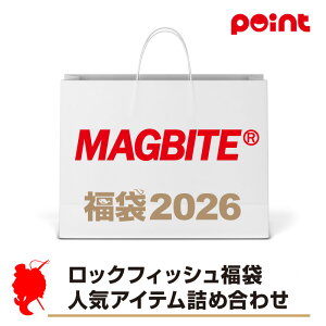 }Ov_Nc }OoCg bNtBbV lCACelߍ킹y2026 ܁zlC[J[܁y12{\z ނ ނ 