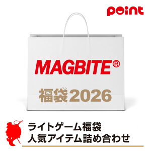 }Ov_Nc }OoCg CgQ[ lCACelߍ킹y2026 ܁zlC[J[܁y12{\z ނ ނ 