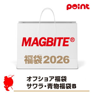 }Ov_Nc }OoCg ItVA TEBy2026 ܁zlC[J[܁y12{\z ނ ނ 