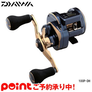 【5月入荷予定/ご予約受付中】ダイワ ソルティガ IC 100P-DH 右ハンドル※他商品との同時注文不可/代引不可/