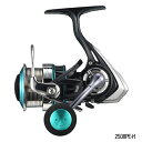 【数量限定45%OFF】【送料無料】ダイワ 16エメラルダス2508PE【訳あり売り尽し】 tokka1101