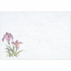 }C Ɩp ĝ e[u}bg lG  39×26.5cm (4-5) 100 M30-207