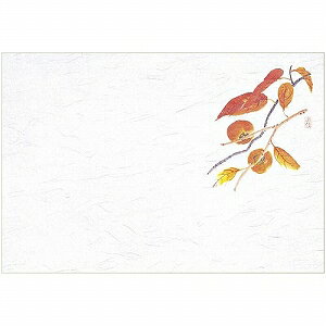 }C Ɩp ĝ e[u}bg lG  39×26.5cm `(9-10) 100 M30-211