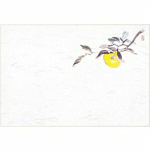 }C Ɩp ĝ e[u}bg lG  39×26.5cm 䂸(10-12) 100 M30-215