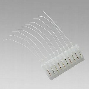 bN pnK[pփs` 10t i` W-182