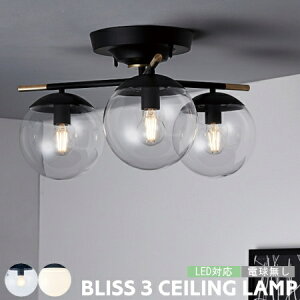 V[OCg A[g[NX^WI Ɩ BLISS uX3 V[Ov 3 Ɩ LED M  Ɩ  k g V[Ov KXVF[h  JtF