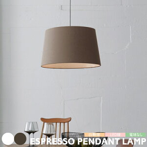 y_gCg A[g[NX^WI Ɩ GXvb\ y_gvESPRESSO AW-0505 LED E26  ݂艺 1 Vv t@ubNVF[h k _ re[W  