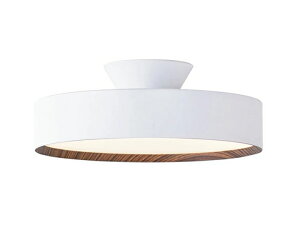 �V�[�����O���C�g �A�[�g���[�N�X�^�W�I �Ɩ� �O���[ 4000 �V�[�����O�����v GLOW LED CEILING LAMP AW-0555E �������F �Ɩ���� �A�b�p�[���C�g ������� ���������� �z�e�����C�N �����R���t�� �ی` 
