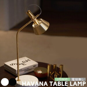 e[uCg A[g[NX^WI e[uv HAVANA noi AW-0527 嗝 ^J 3iK ^b`Rg[ ^b`XCb`   xbhTCh ԐڏƖ fXNCg Ɩ 