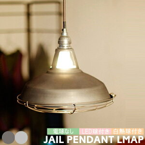 y_gCg A[g[NX^WI Ɩ WFCy_gv iL) JAIL AW-0409 1 ݂艺 Ɩ _CjO rO Q k AJ   re[W g