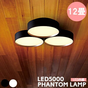 V[OCg A[g[NX^WI Ɩ t@g 5000 LED V[Ov phantom5000 AW-0580 Rt LED^ 邢  F Ɩ 10 12   Vv 