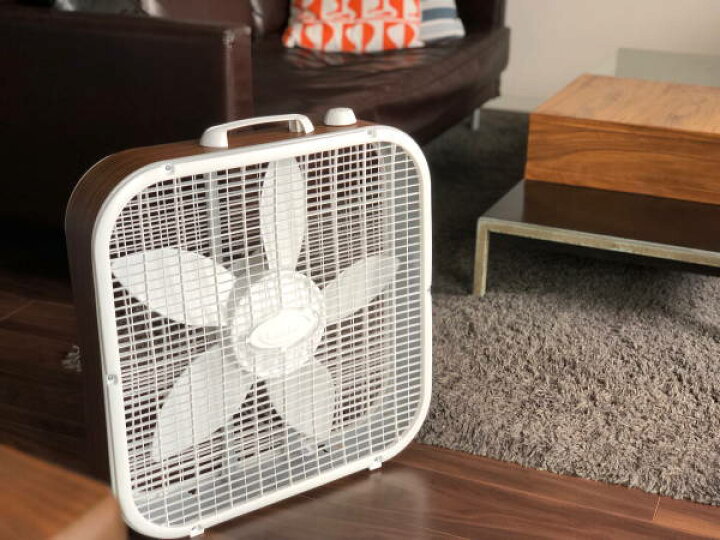 楽天市場 扇風機 Lasko ラスコ ボックスファン ウォールナット 3733 サーキュレーター アメリカン インダストリアル レトロ おしゃれ かっこいい 軽量 Hermosa ハモサ 家具インテリア雑貨point 楽天市場 扇風機 Lasko ラスコ ボックスファン ウォールナット 3733 サーキュレーター アメリカン インダストリアル レトロ おしゃれ かっこいい 軽量 Hermosa ハモサ 家具インテリア雑貨point