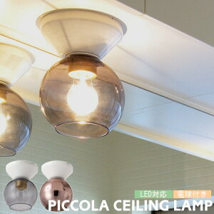 V[OCg nT Ɩ sbR PICCOLA CE-004 1 KX  V[Ov 3  ^ KX  L Lb` gC ʏ Hsv _ECg k g r