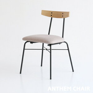 _CjO`FA AZ CX ֎q `FA fXN`FA Ƌ ݑ[N JtF`FA   k re[W g uE i` ANTHEM ANC-3227