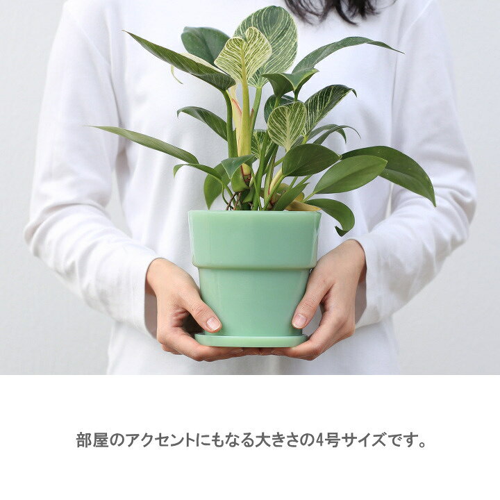 楽天市場】4号鉢 植木鉢 ミルクガラス プランターポット イデアコ 