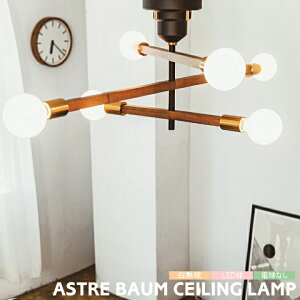 V[OCg C^[tH AXgoE V[Ov Ɩ ASTRE baum 6 邢 LED M Ebh k g re[W  _CjO rO Q 8 10  