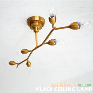 V[OCg C^[tH Ɩ NfB KLADI LED {[ Ɩ 6 VƖ _ KX k re[W C   _CjO rO JtF S[h 