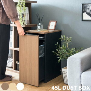 _Xg{bNX 45bg ݔ ܉B X e LX^[t OJ  Ȃ S~ c^  ؖ rO Lb` _CjO k  CeA uE