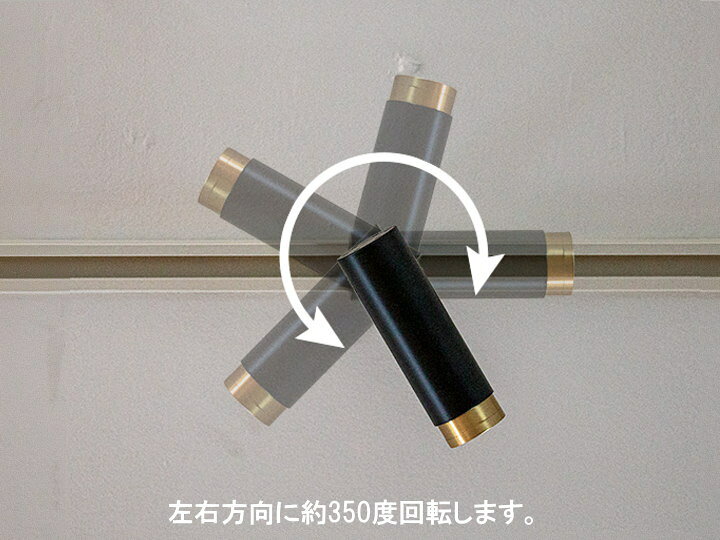 楽天市場】ダクトレール用 LED 照明 スポットライト NOSH ノーシュ TC 