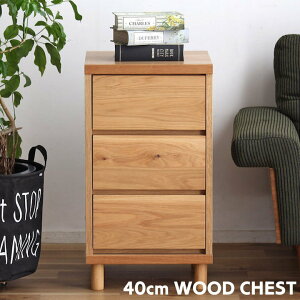 `FXg ؐ k 40cm i irtjs40cm rt Y {  Ebh`FXg Lrlbg rO er [I Eߏ ʏ ߗގ[ h[[ n