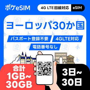 yόシ[ŔsIz[bp30 eSIM C[V v 1GB 5GB 10GB 20GB 30GB f[^ʐMpidbԍȂj 5GΉ _E[hFw90 3 10 15 20
