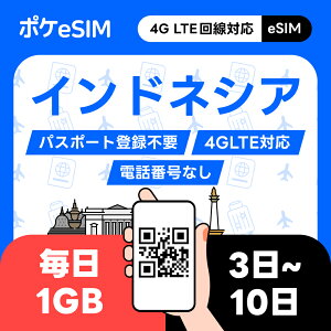 yόシ[ŔsIzChlVA eSIM 11GB f[^ʐMpidbԍȂj L90 3 4 5 6 7 10