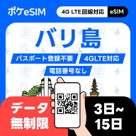 【レビュー特典あり】 バリ島 eSIM イーシム データ無制限 使い放題 データ通信専用(電話番号なし) ダウ…