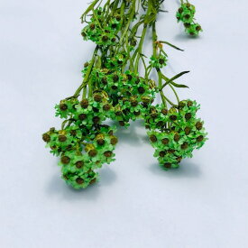 ワイルドフラワー オーストラリアン デイジー グリーン オーストラリア原産 インテリア アレンジメント お花 すてき かわいい おしゃれ 大人可愛い スワッグ 癒し 花のある暮らし なごみ ワークショップ 花材 資材 手作り DIY ハンドメイド 植物 自然素材 そのまま飾って